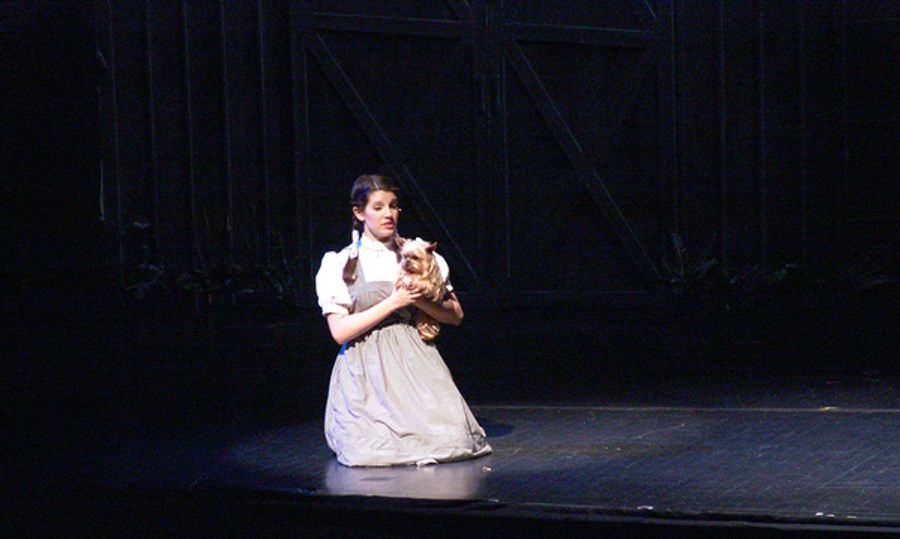 Photo Flash: Valley Youth Theatre presents THE WIZARD OF OZ at the Herberger Theater Center Image