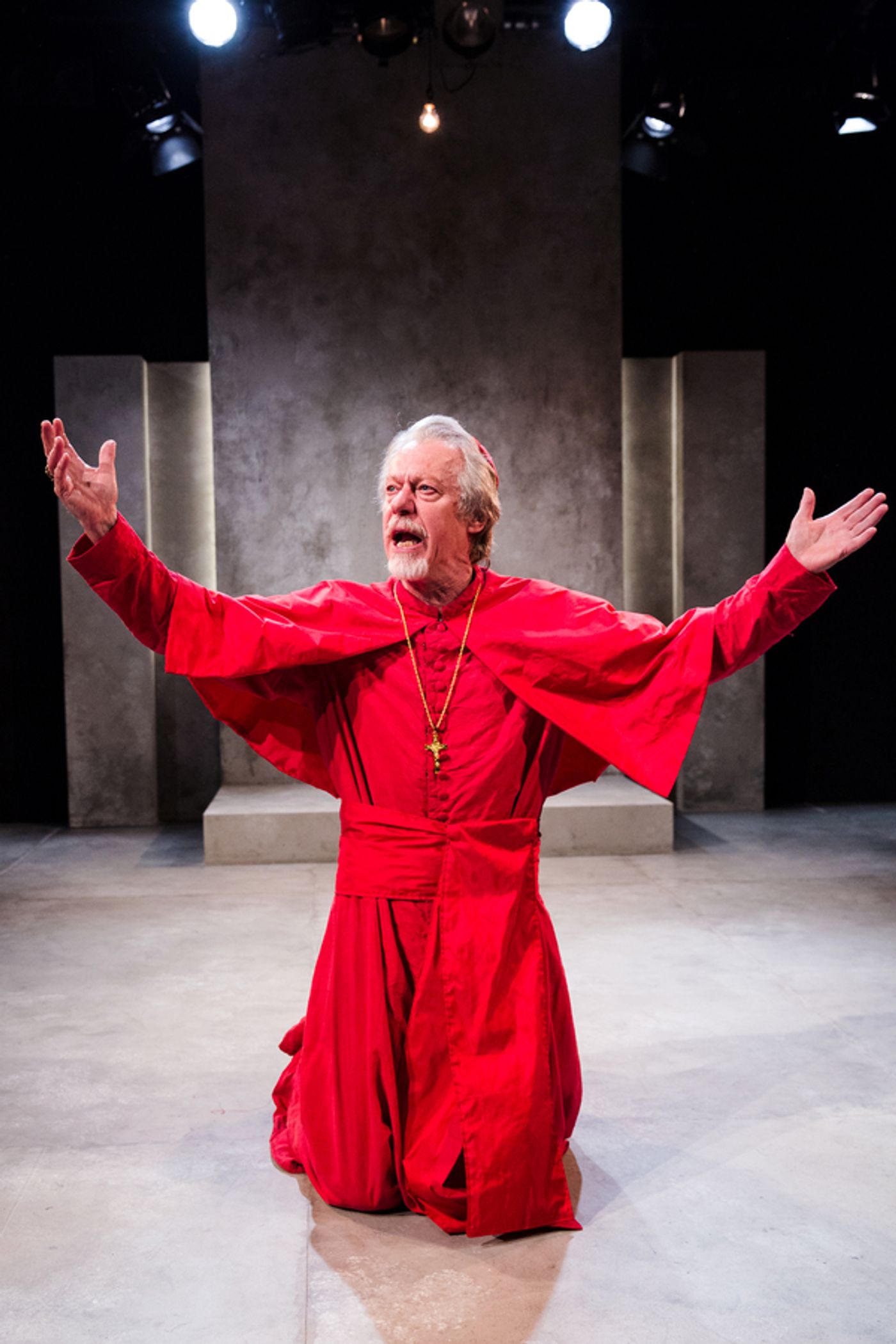 Photo Flash: First Look at THE CARDINAL at Southwark Playhouse  Image