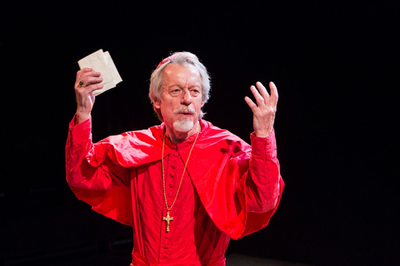 Photo Flash: First Look at THE CARDINAL at Southwark Playhouse  Image