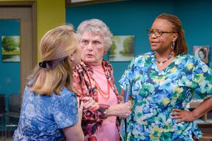 Lisa Fairchild, Barrie Alguire and M. Denise Lee @ BroadwayWorld Lisa Fairchild, Barrie Alguire and M. Denise Lee Photo