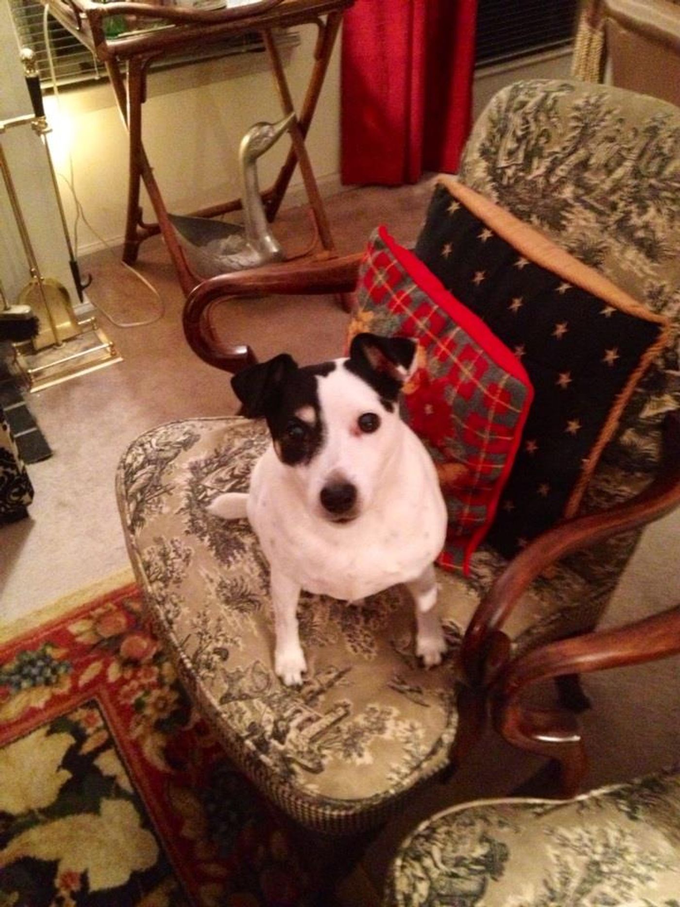 GOOD MORNING, THEATERATI for May 3, 2017  Image