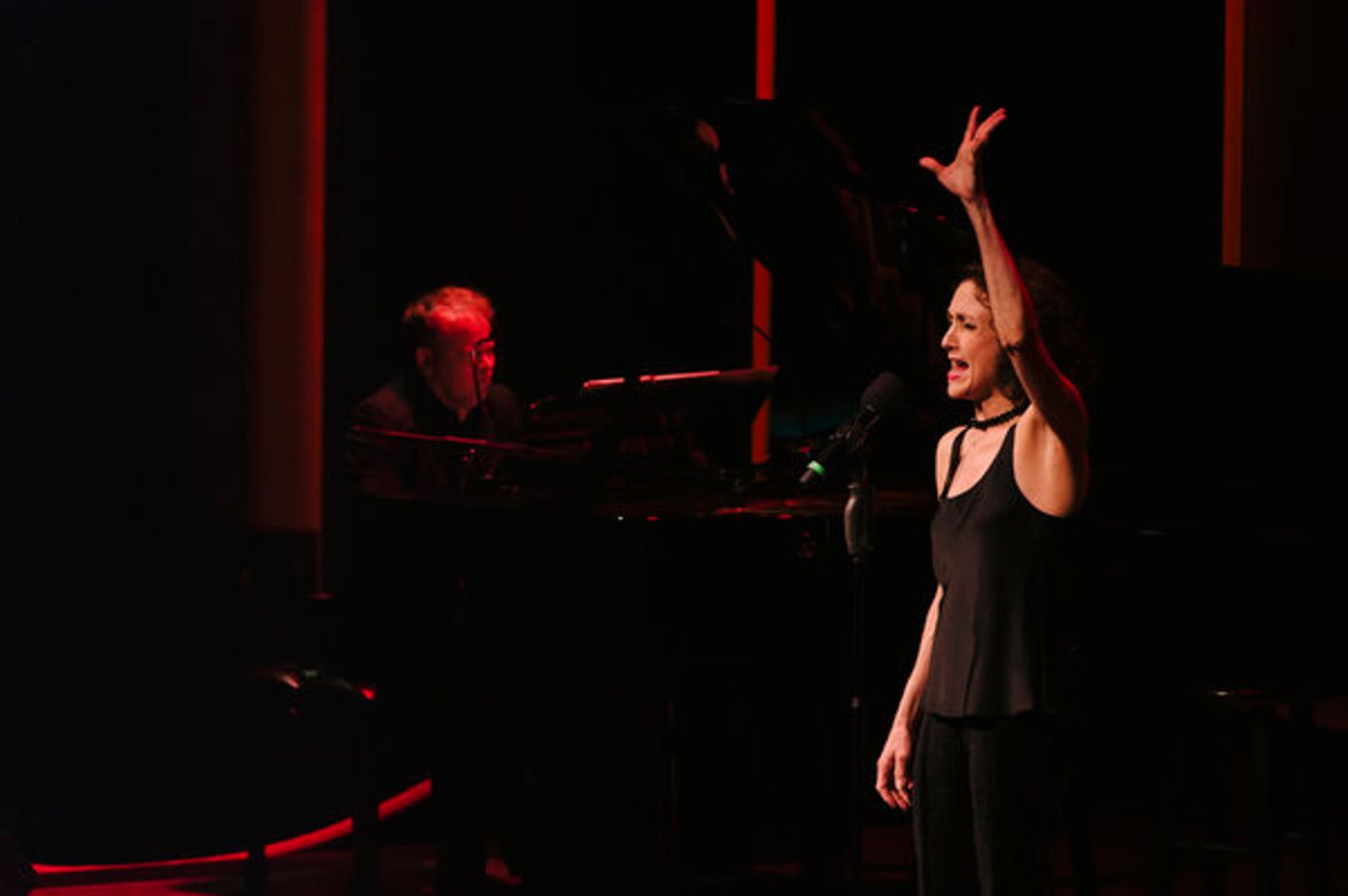 Photo Flash: Inside An Evening with Bebe Neuwirth at Arena Stage  Image