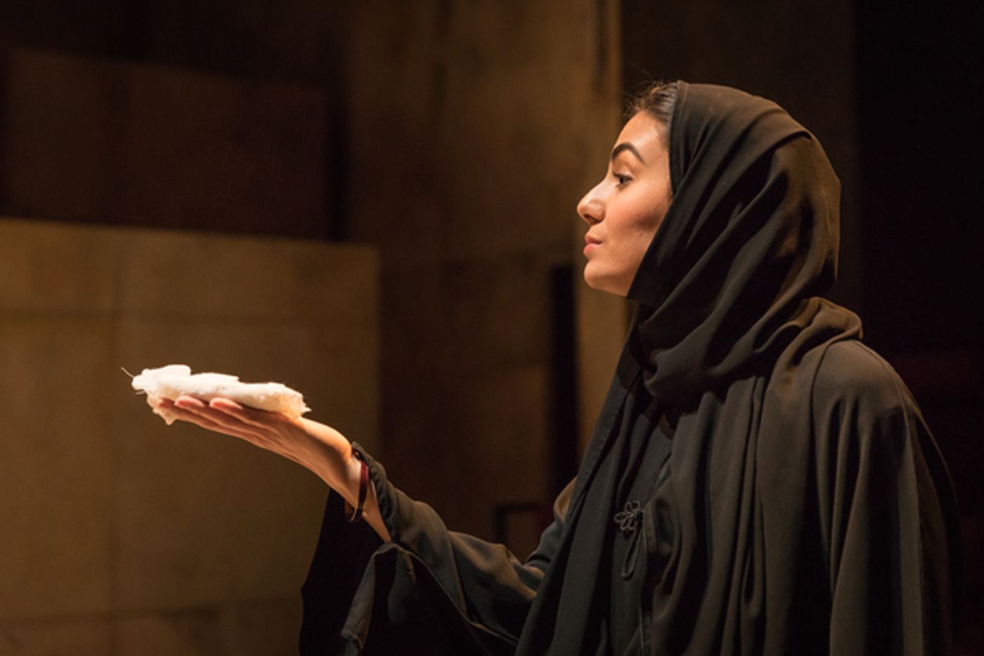 Photo Flash: First Look at OCCUPATIONAL HAZARDS at Hampstead Theatre  Image