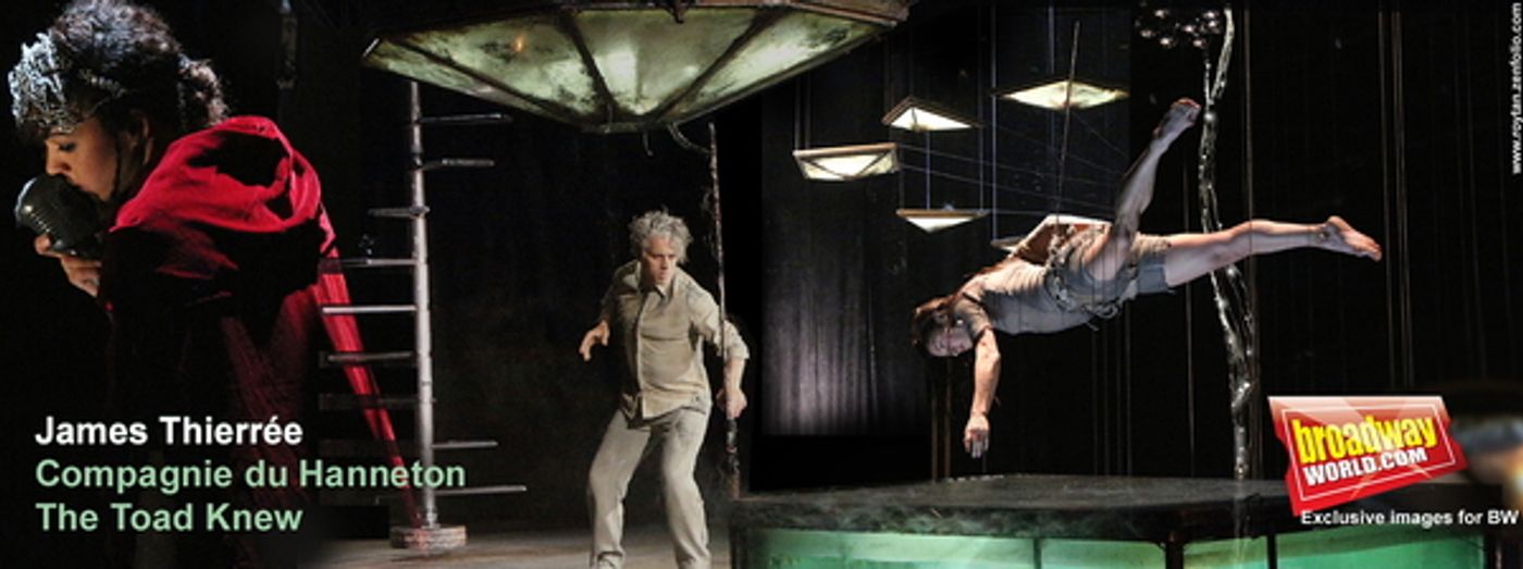 Photo Coverage: James Thierree Brings Surreal Acrobatics to Sadler's Wells in THE TOAD KNEW  Image