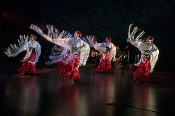 Photo Flash: Esmeralda Enrique Spanish Dance Company Celebrates 35 Years with AN ICONIC JOURNEY  Image