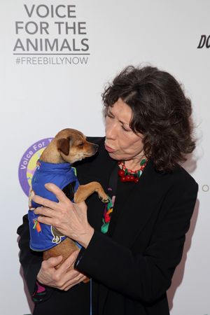 Lily Tomlin @ BroadwayWorld Lily Tomlin Photo