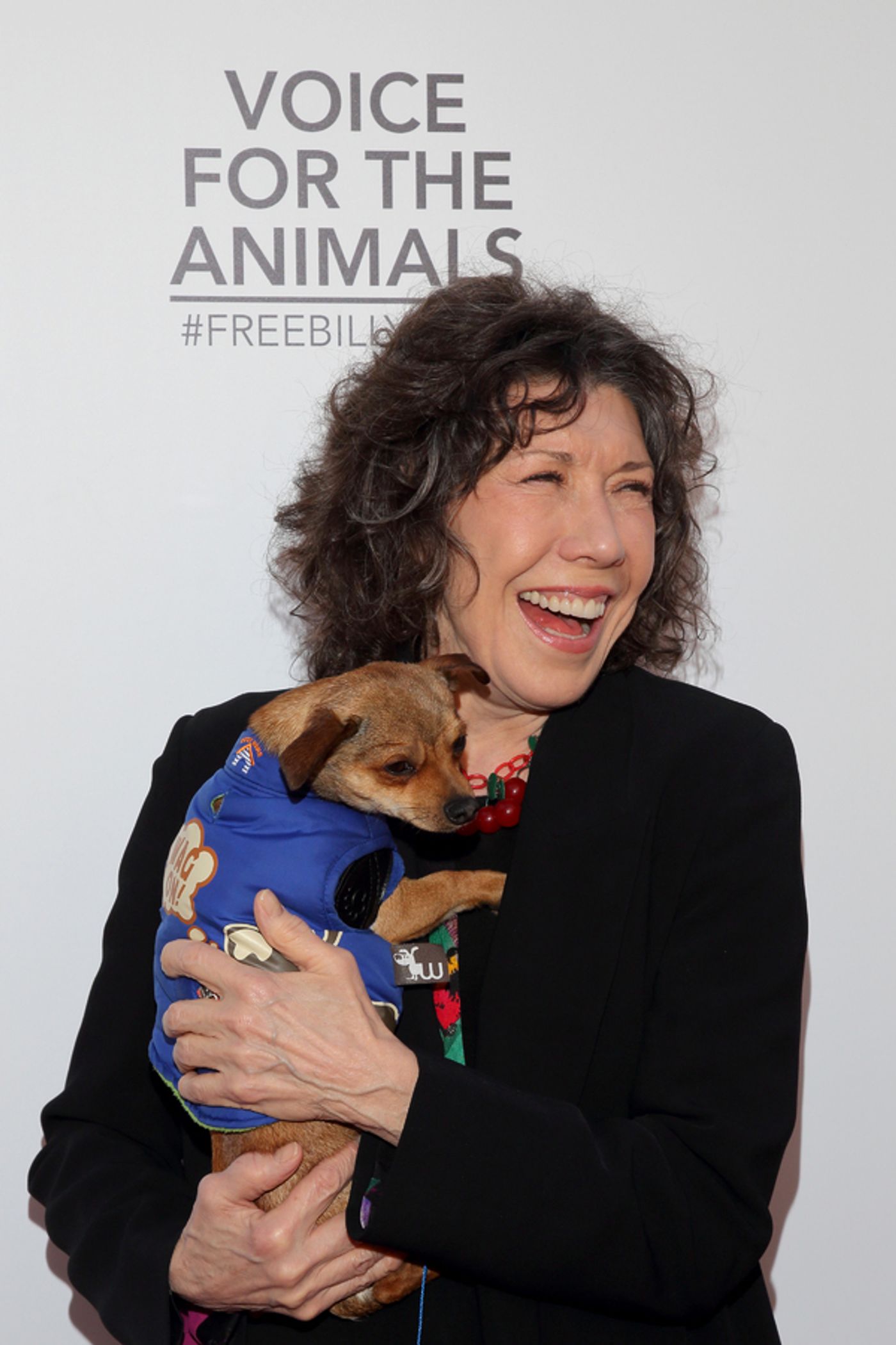 Photo Flash: Lily Tomlin Joins Friends for WAIT WAIT...DON'T KILL ME! Comedy Benefit  Image