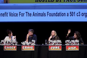 Casey Wilson, Craig Ferguson, June Diane Raphael and Lily Tomlin Photo