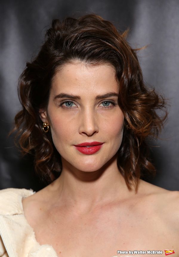 Cobie Smulders Photo
