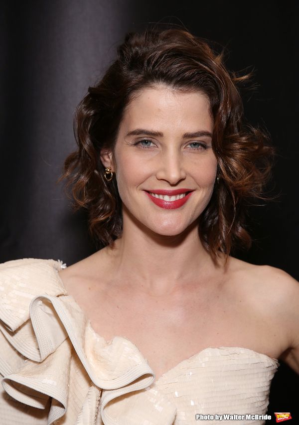 Cobie Smulders Photo
