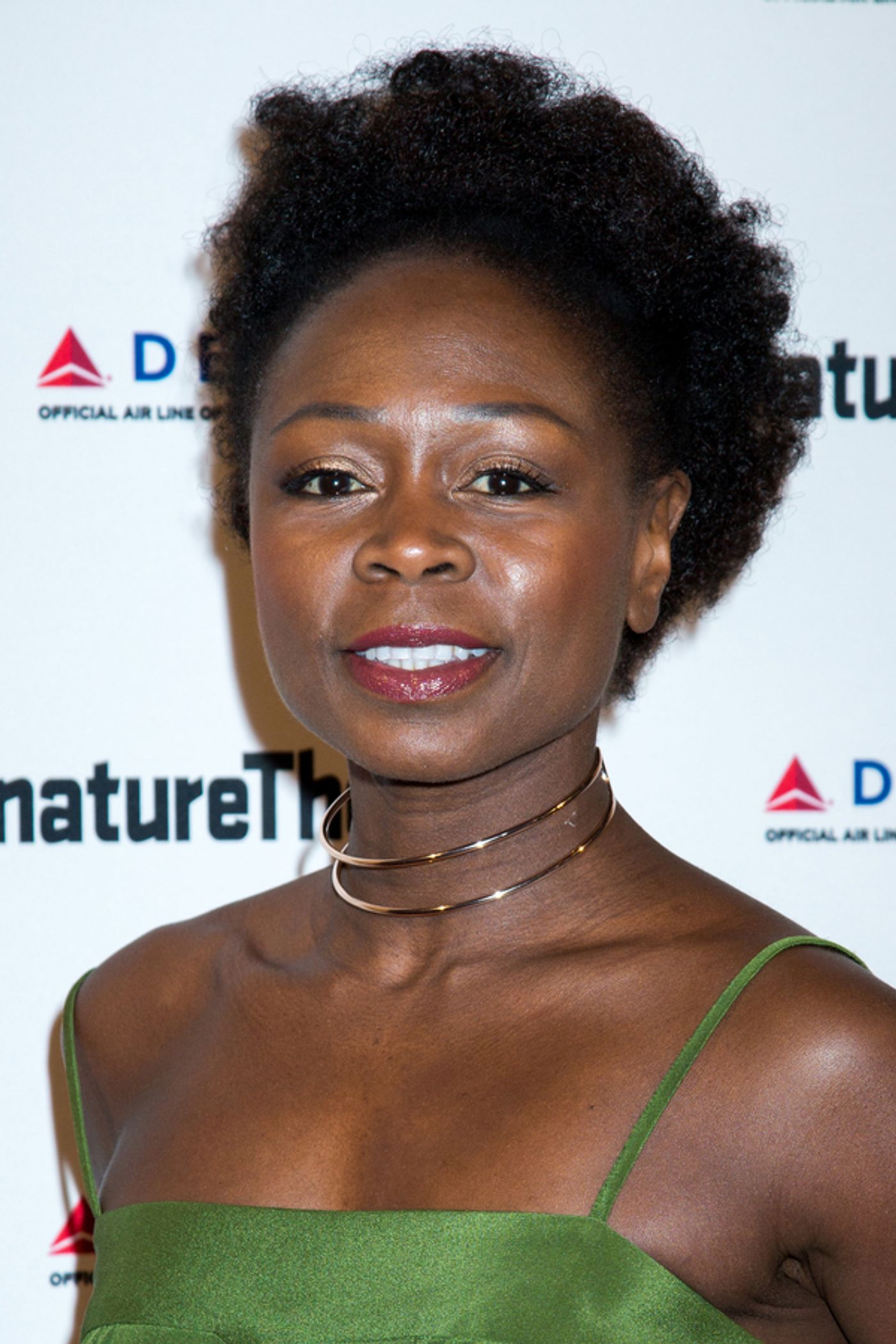 Photo Coverage: Inside Signature Theatre's Gala, Honoring Suzan-Lori Parks and Delta Air Lines  Image