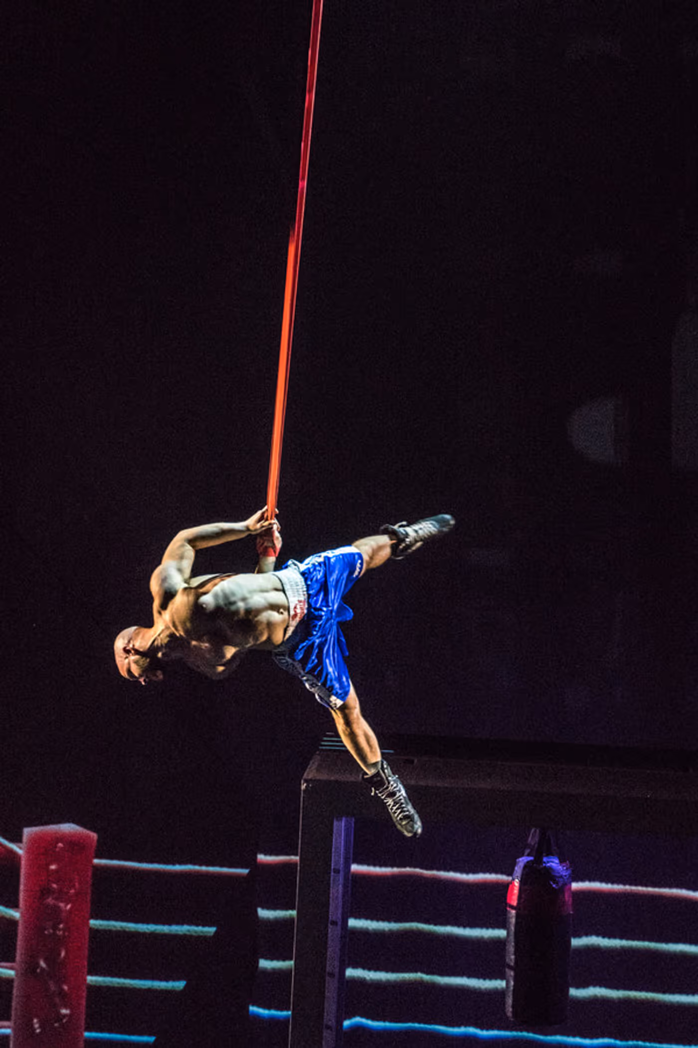 Photo Flash: Stufish's SOHO Brings Circus Thrill Ride to The Peacock  Image