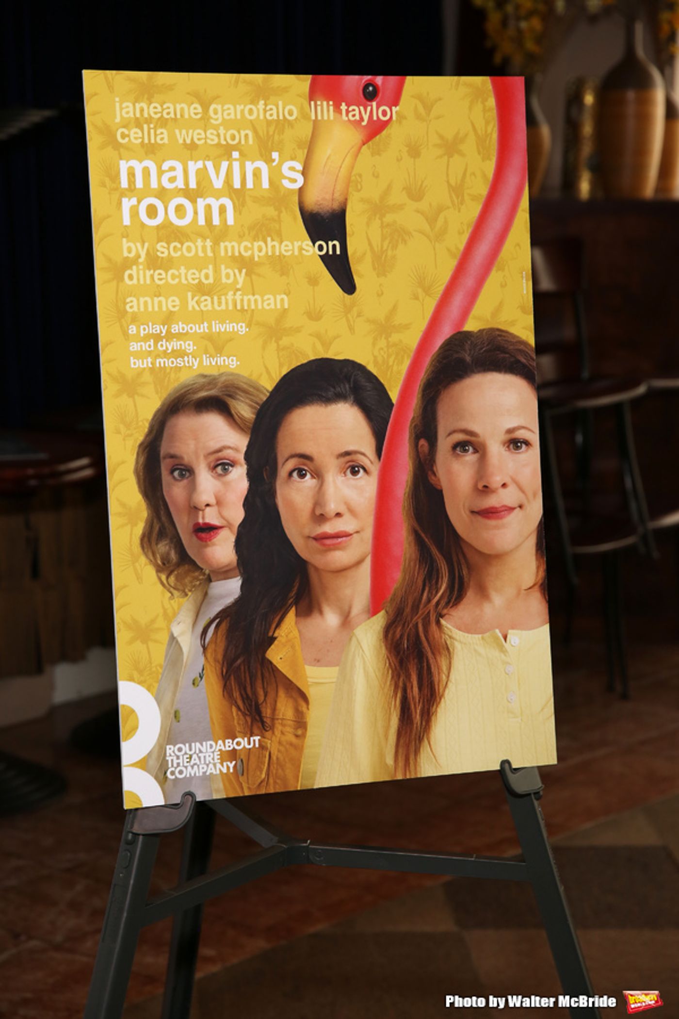 Photo Coverage: Janeane Garofalo, Lili Taylor & Celia Weston Get Ready to Kick Off the New Broadway Season with MARVIN'S ROOM  Image