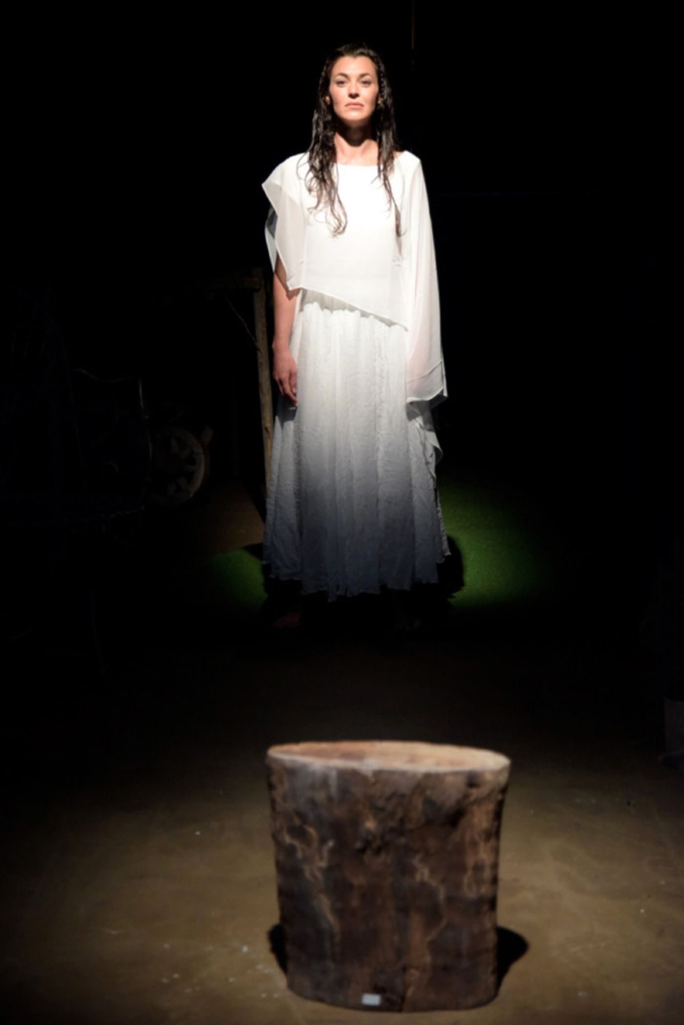 Photo Flash: World Premiere of Dorothy Fortenberry's SPECIES NATIVE TO CALIFORNINA Hits Home in Trump's America  Image