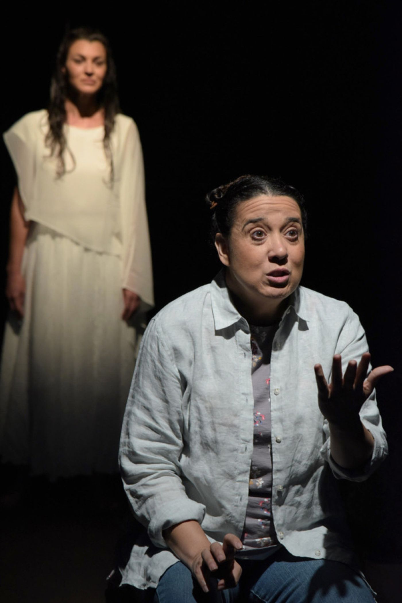 Photo Flash: World Premiere of Dorothy Fortenberry's SPECIES NATIVE TO CALIFORNINA Hits Home in Trump's America  Image
