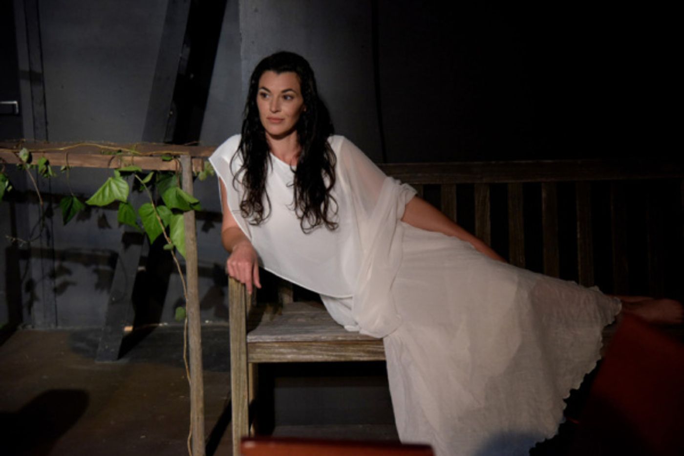 Photo Flash: World Premiere of Dorothy Fortenberry's SPECIES NATIVE TO CALIFORNINA Hits Home in Trump's America  Image