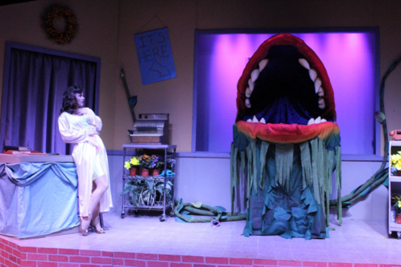 Photo Flash: Spend A Final Weekend on Skid Row with LITTLE SHOP OF HORRORS  Image