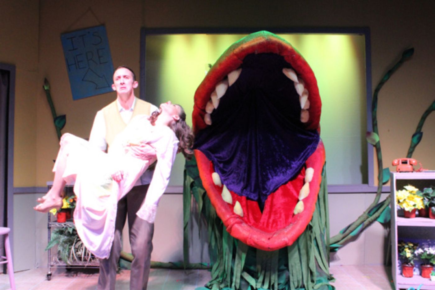 Photo Flash: Spend A Final Weekend on Skid Row with LITTLE SHOP OF HORRORS  Image