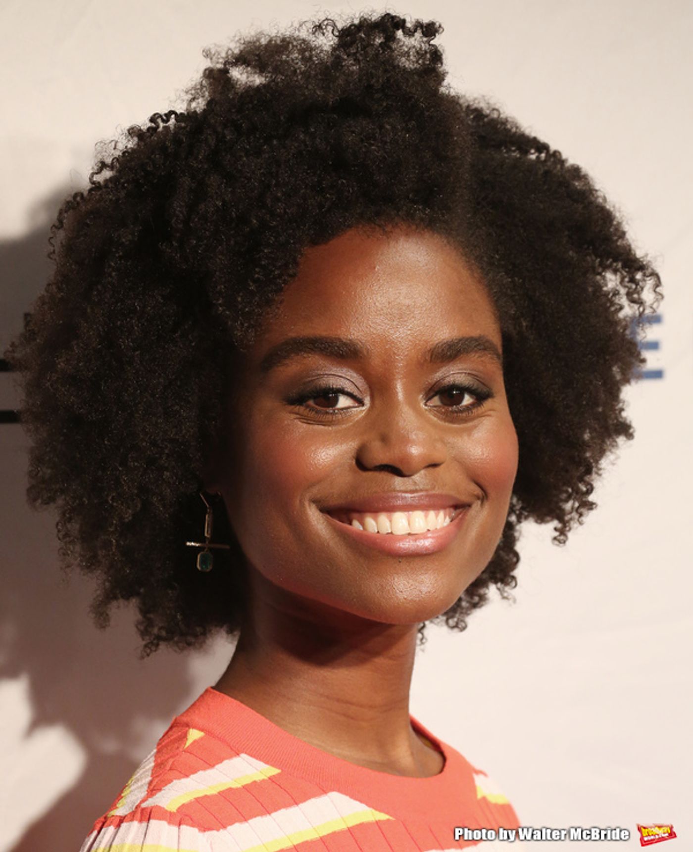 Photo Coverage: On the Red Carpet at the 83rd Annual Drama League Awards Ceremony  Image