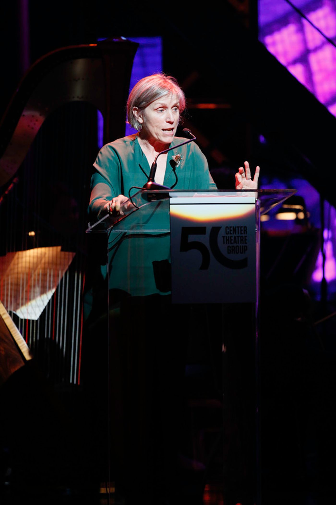 Photo Flash: Annette Benning, Jennifer Hudson, Matthew Broderick and More Celebrate CTGLA's 50th Anniversary  Image