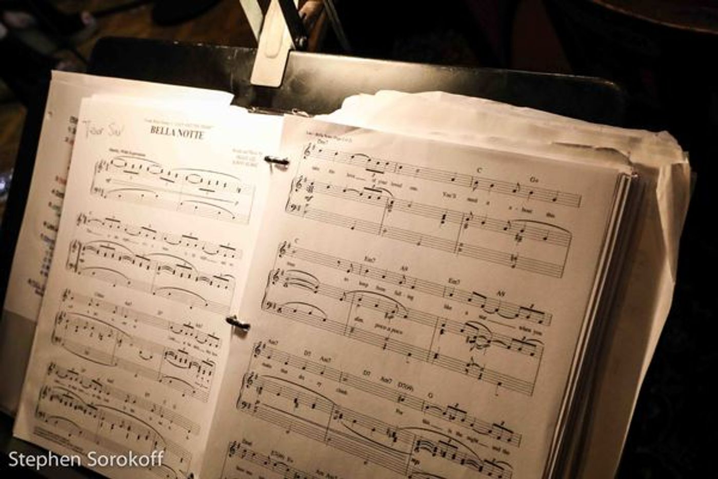 Photo Coverage: Lisa Lampanelli, Dominic Chianese & Others Featured At Friars Club's BELLA NOTTE  Image