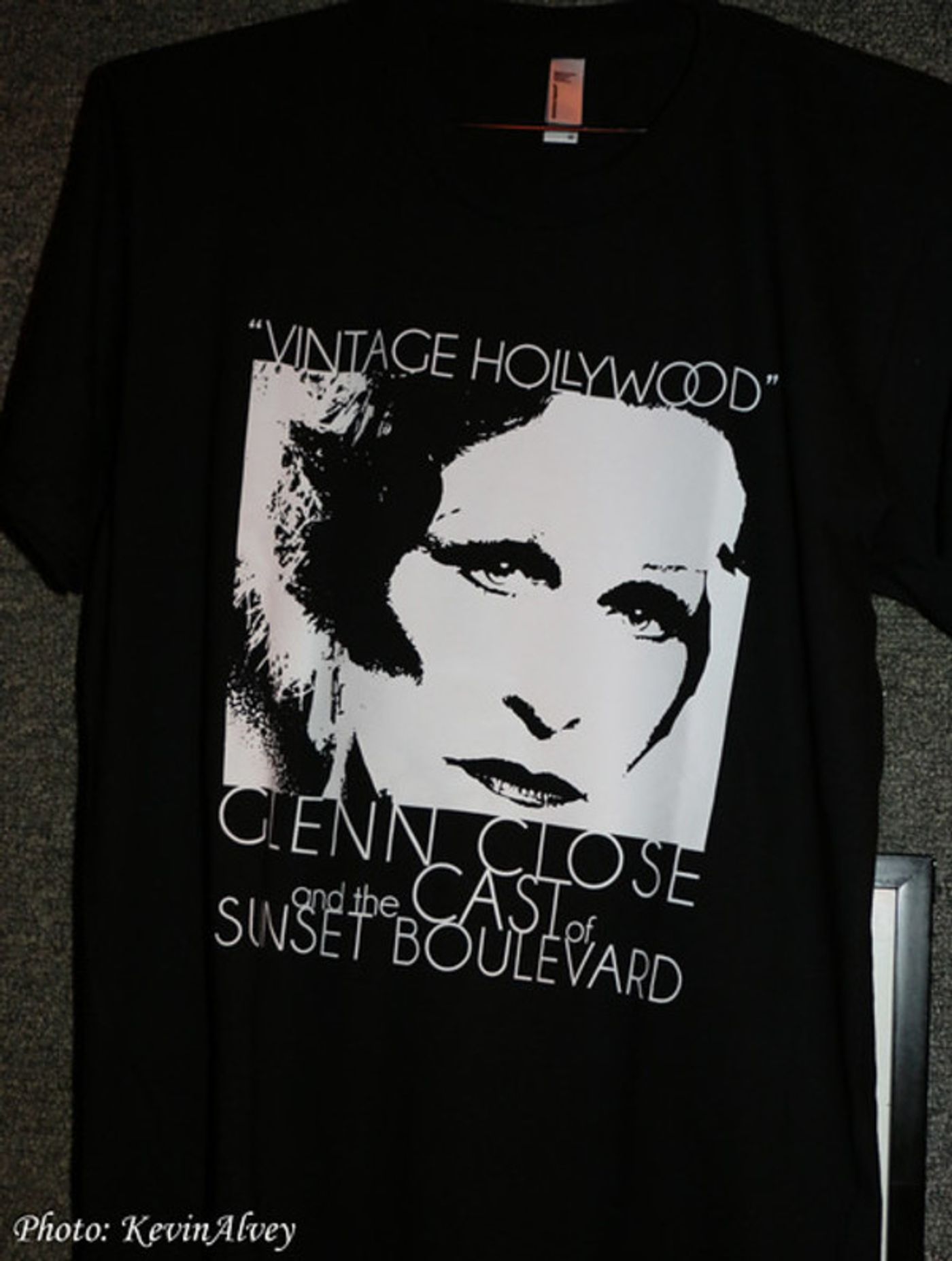 Photo Flash: Glenn Close and Cast of SUNSET BOULEVARD Bring VINTAGE HOLLYWOOD to Birdland  Image