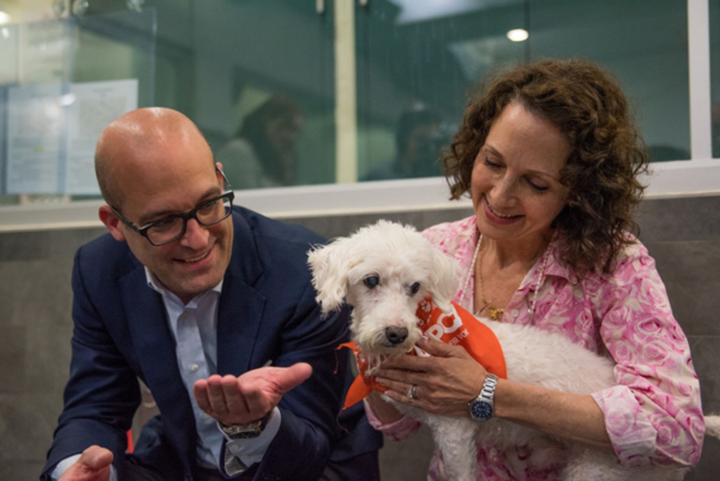 Photos and Video: Bebe Neuwirth Tells Stories to Recovering Canines at the ASPCA  Image