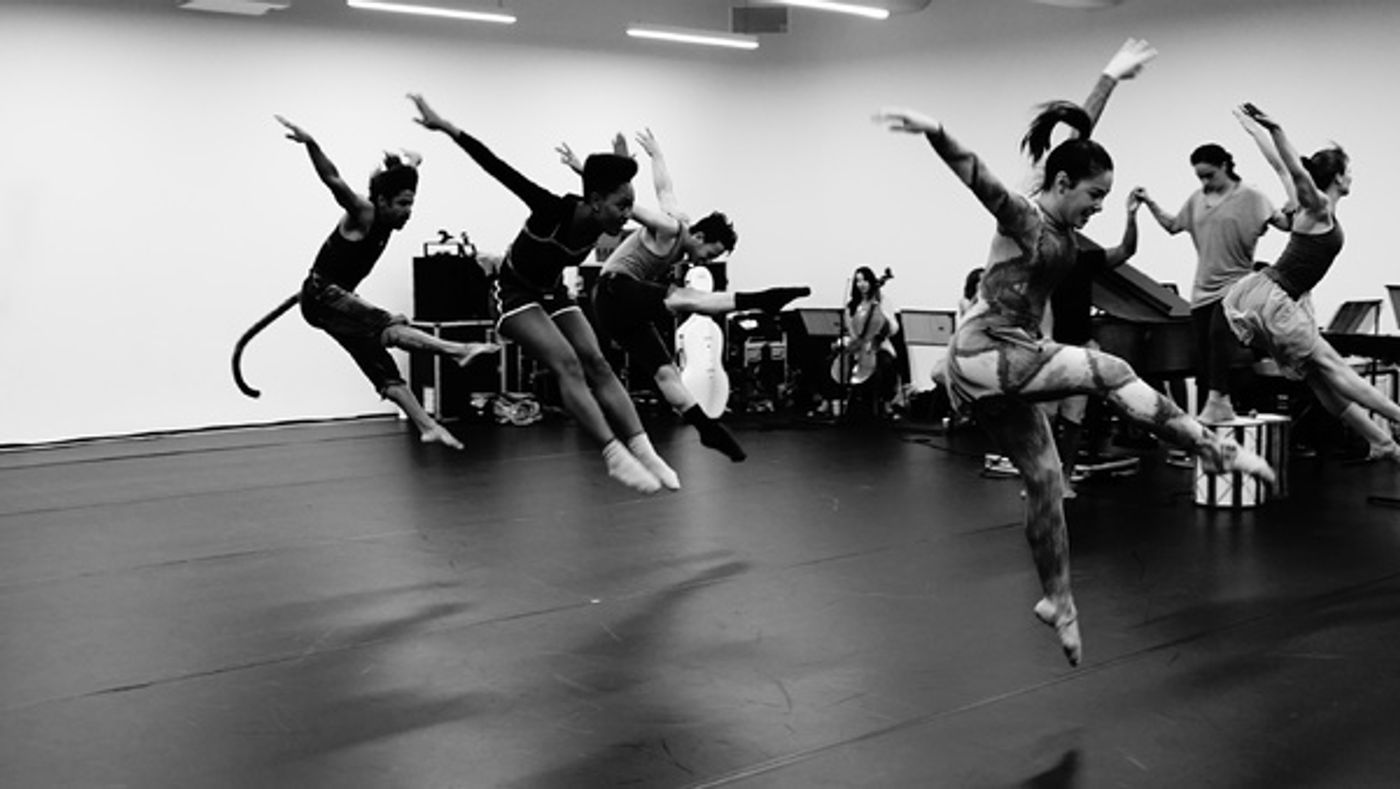 Photo Flash: In Rehearsal for the UK Premiere of VOICES OF THE AMAZON  Image