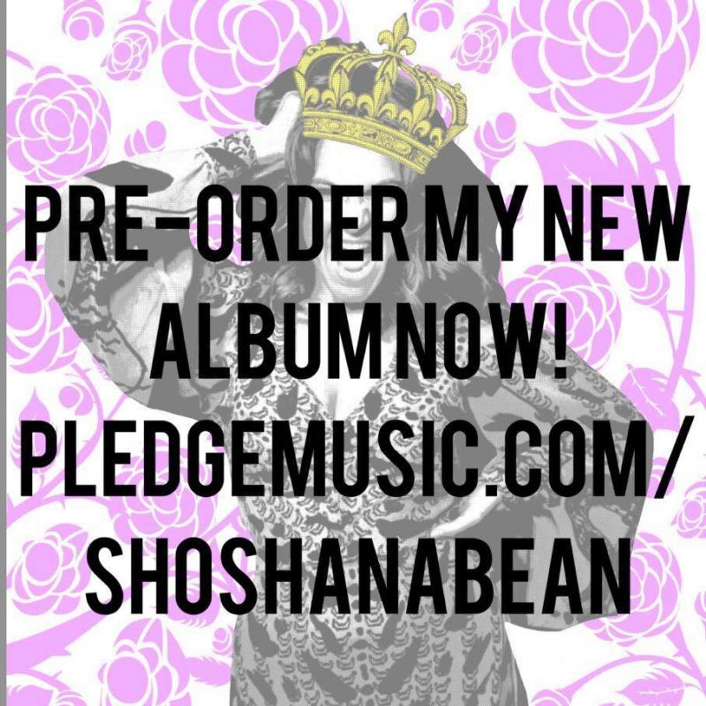 Podcast: West of Broadway Chats with One of Broadway's Favorite Belters, Shoshana Bean  Image