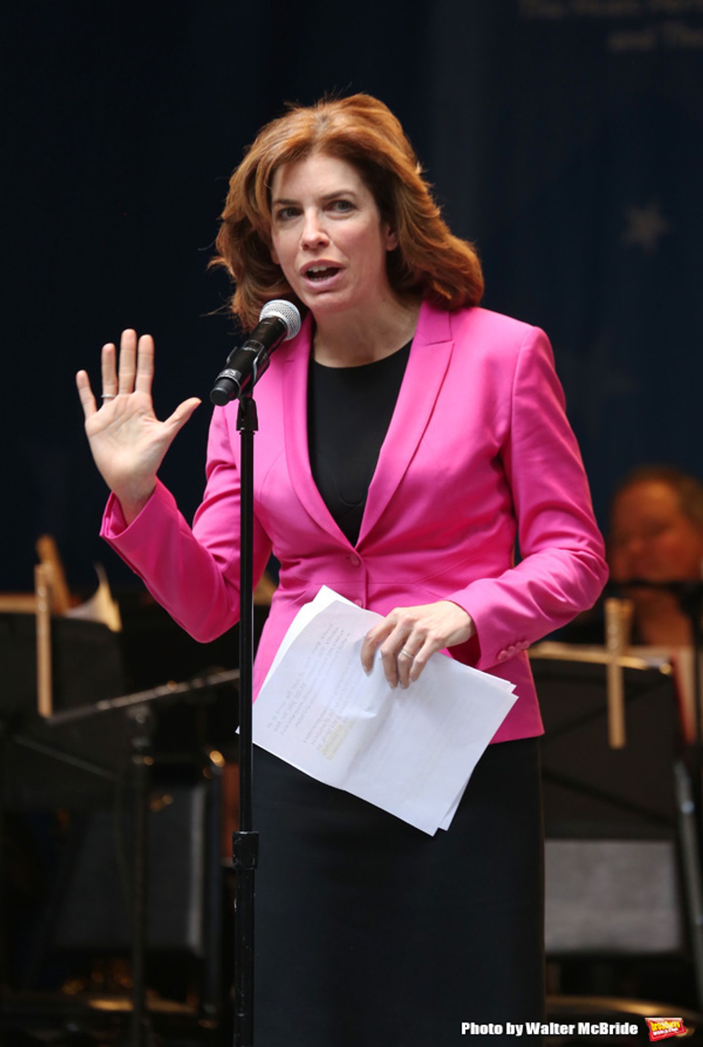 Photo Coverage: The Stars Sang Out! On Stage at Stars In The Alley  Image