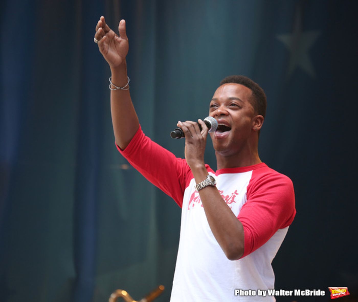 Photo Coverage: The Stars Sang Out! On Stage at Stars In The Alley  Image