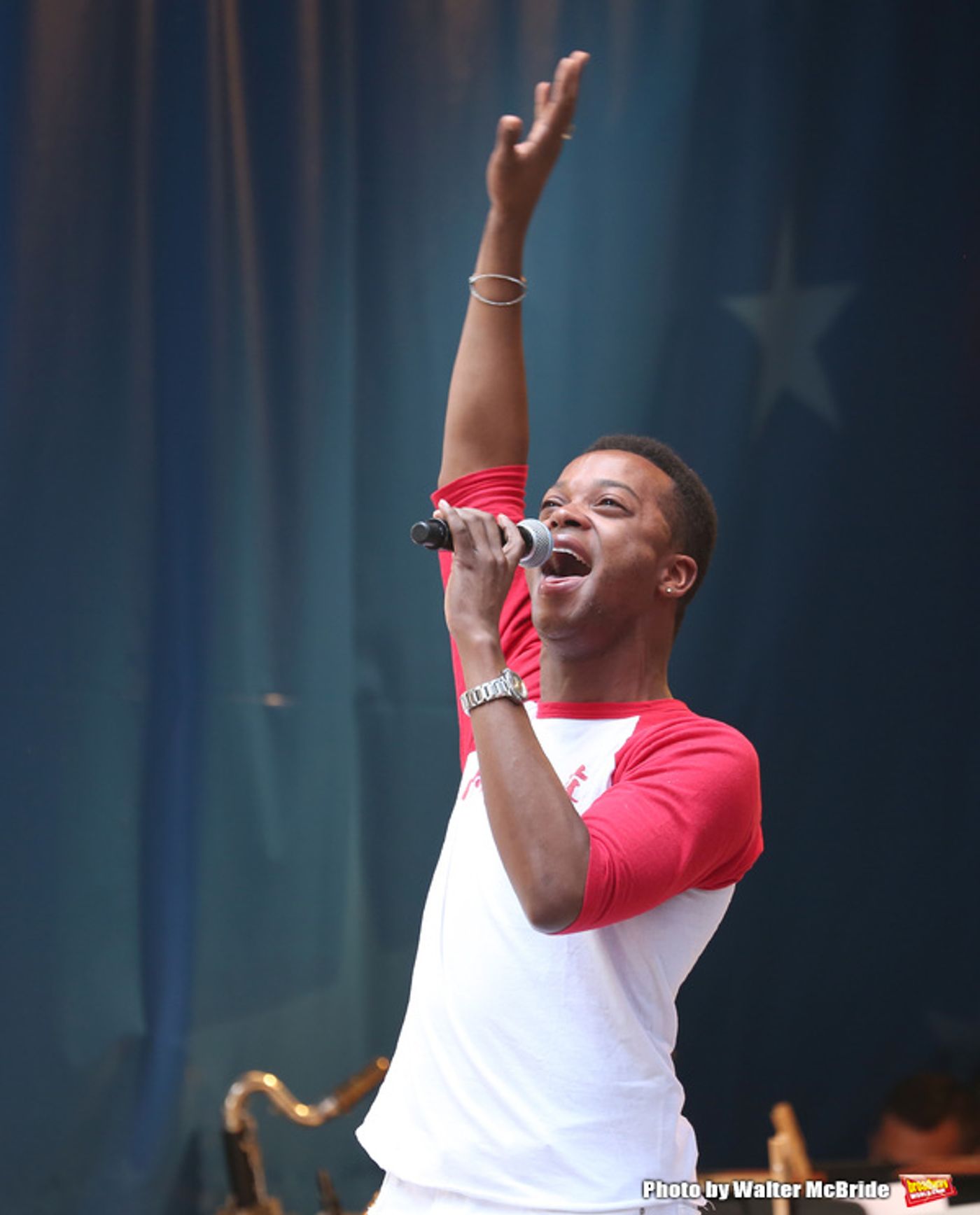 Photo Coverage: The Stars Sang Out! On Stage at Stars In The Alley  Image