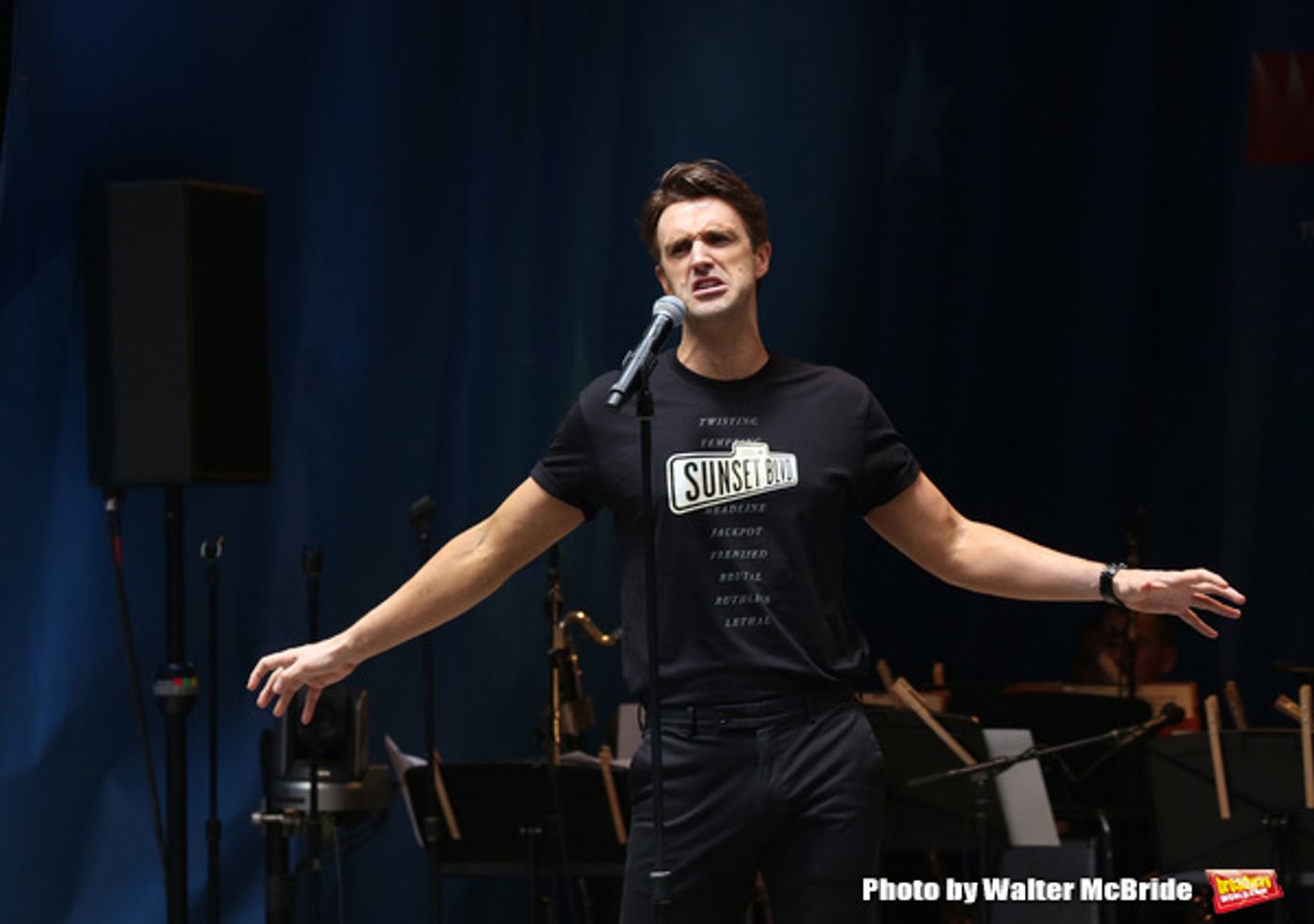 Photo Coverage: The Stars Sang Out! On Stage at Stars In The Alley  Image