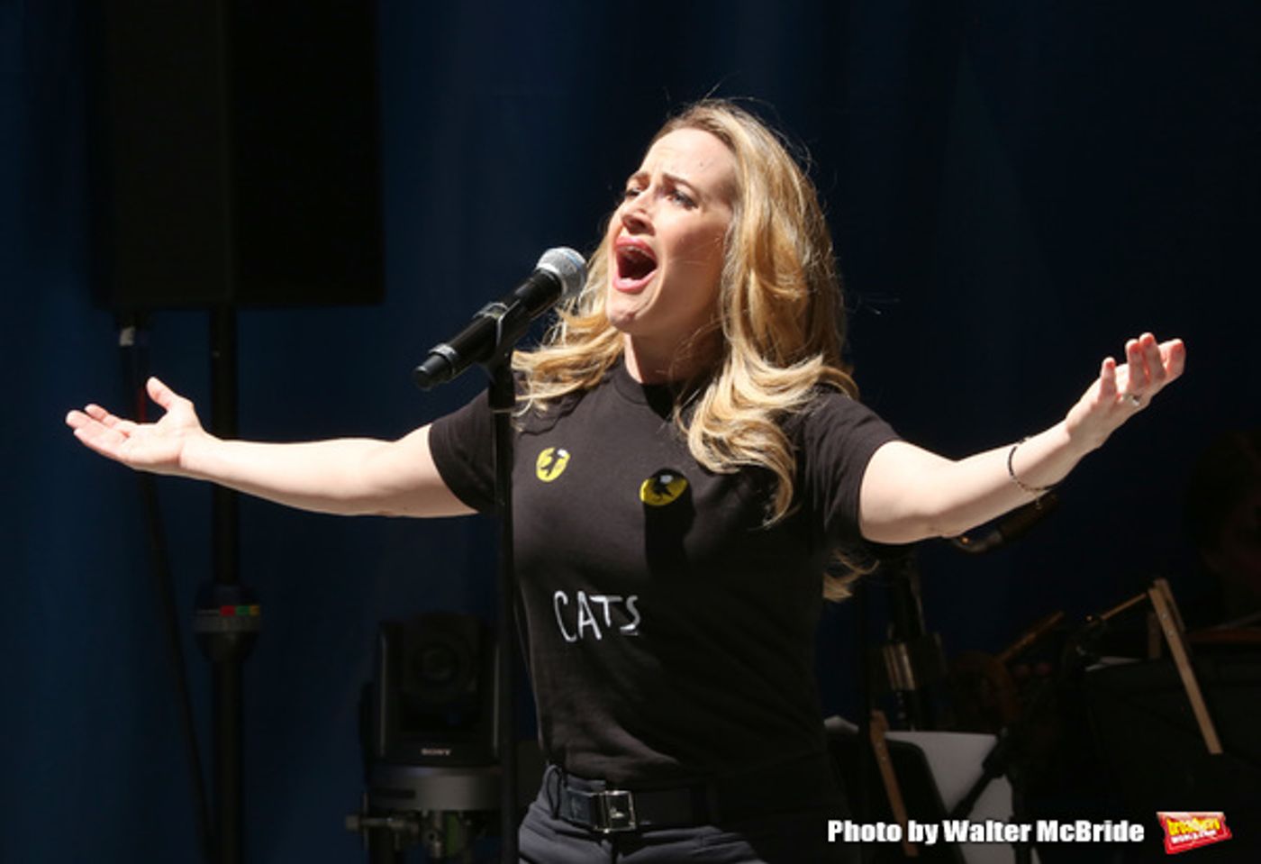 Photo Coverage: The Stars Sang Out! On Stage at Stars In The Alley  Image