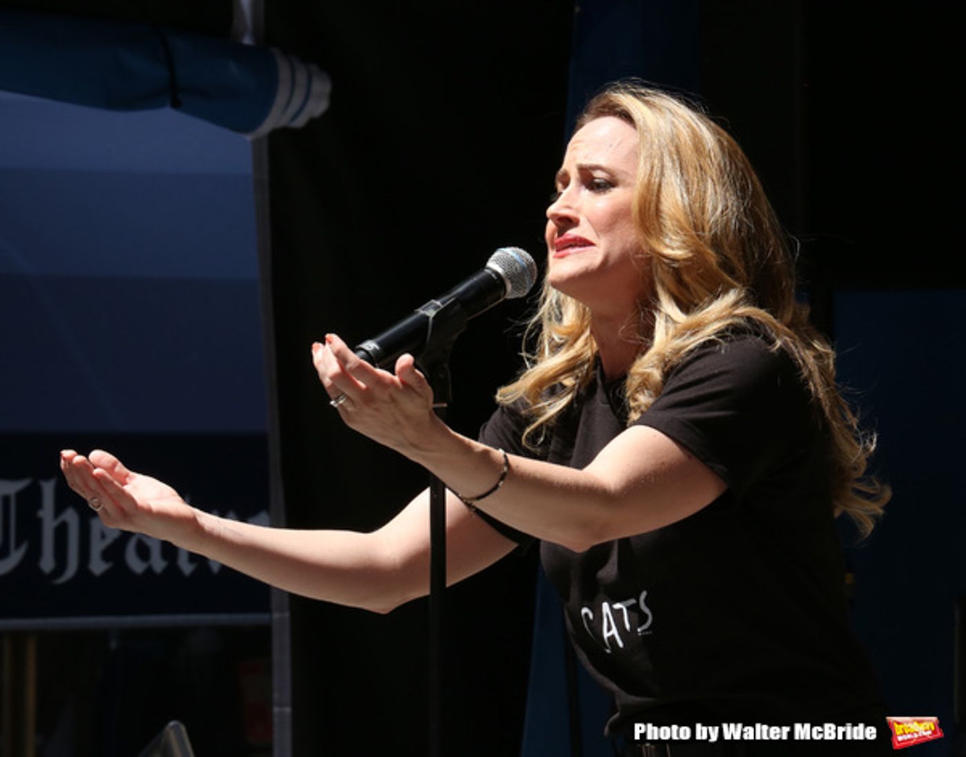 Photo Coverage: The Stars Sang Out! On Stage at Stars In The Alley  Image