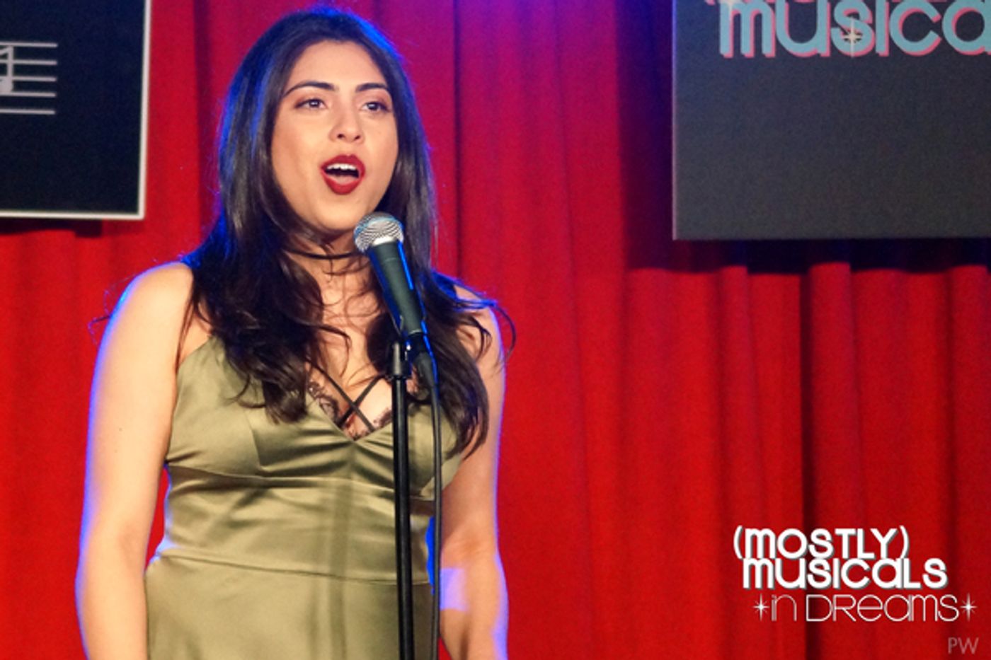 Photo Flash: (mostly)musicals Returns with 23rd Edition: *IN DREAMS*  Image