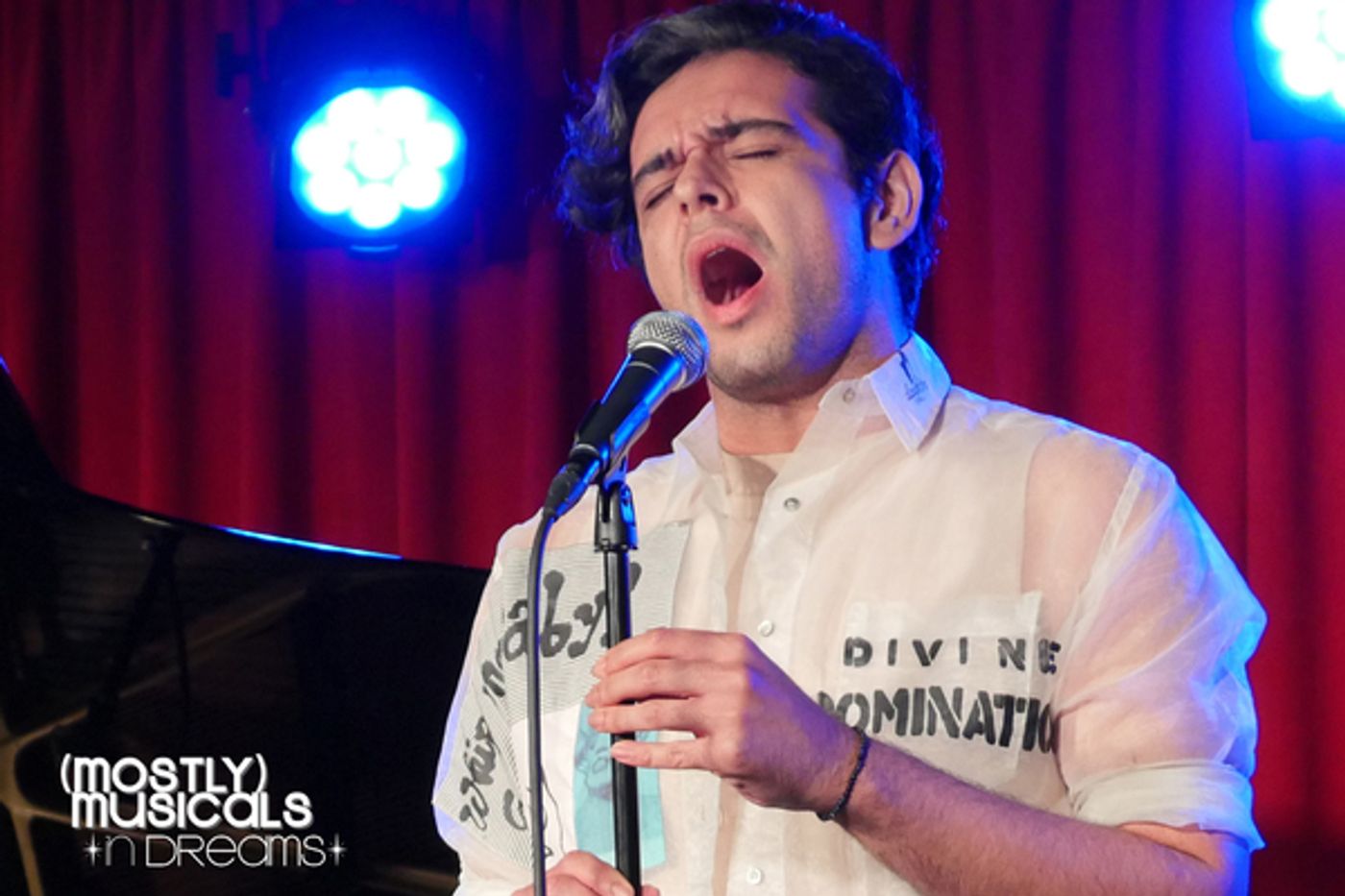 Photo Flash: (mostly)musicals Returns with 23rd Edition: *IN DREAMS*  Image