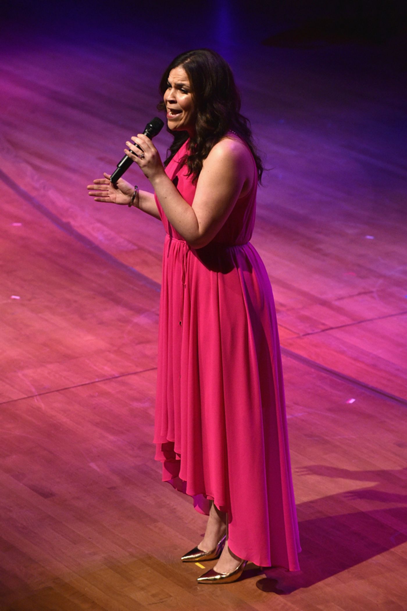 Photo Flash: Hal Prince, Audra McDonald, and More Inducted Into Lincoln Center Performing Arts Hall of Fame  Image