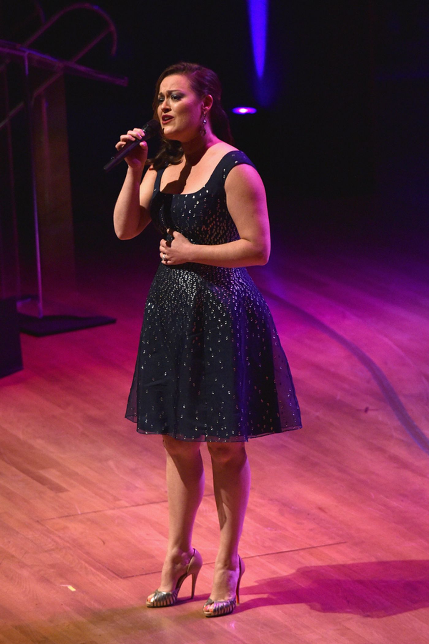 Photo Flash: Hal Prince, Audra McDonald, and More Inducted Into Lincoln Center Performing Arts Hall of Fame  Image