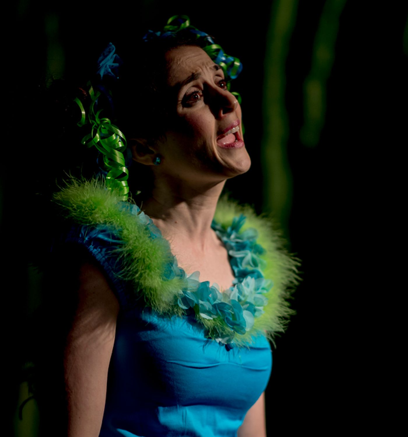 BWW Previews: SEUSSICAL THE MUSICAL at Street Lamp Theater Image