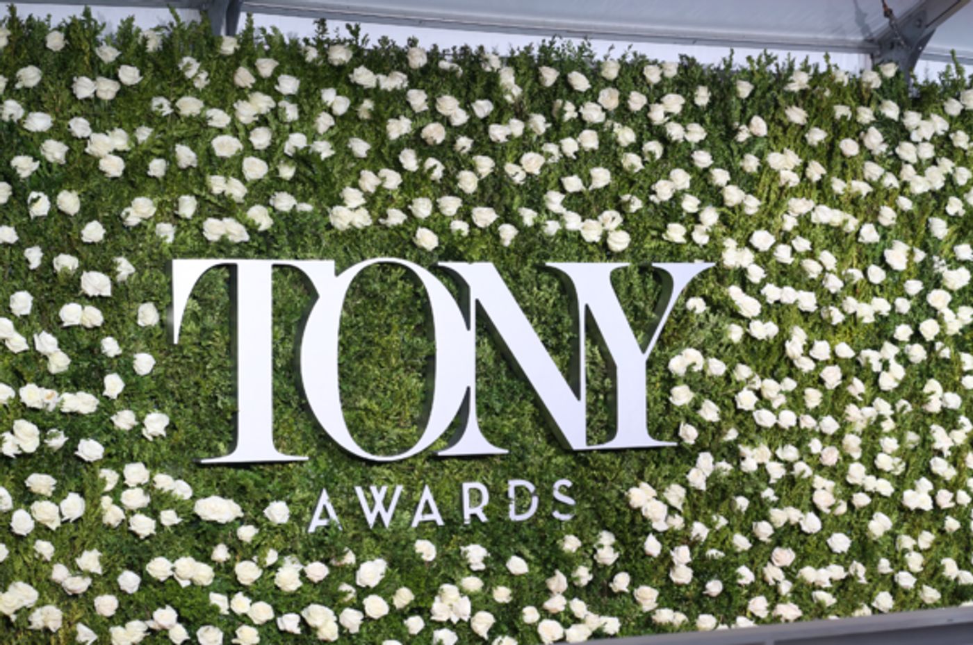 Photo Coverage: 2017 Tony Award Red Carpet Arrivals- Part 1  Image