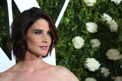 Cobie Smulders Photo