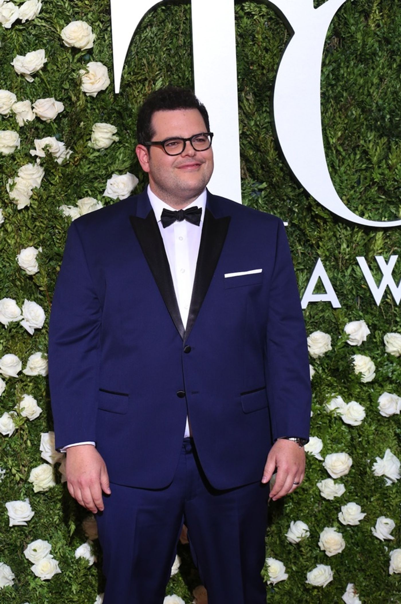 Photo Coverage: 2017 Tony Award Red Carpet Arrivals- Part 5  Image