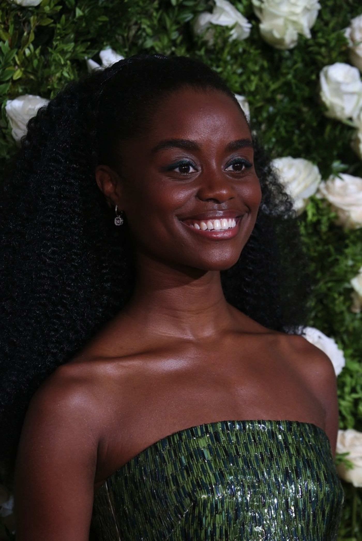 Photo Coverage: 2017 Tony Award Red Carpet Arrivals- Part 5  Image