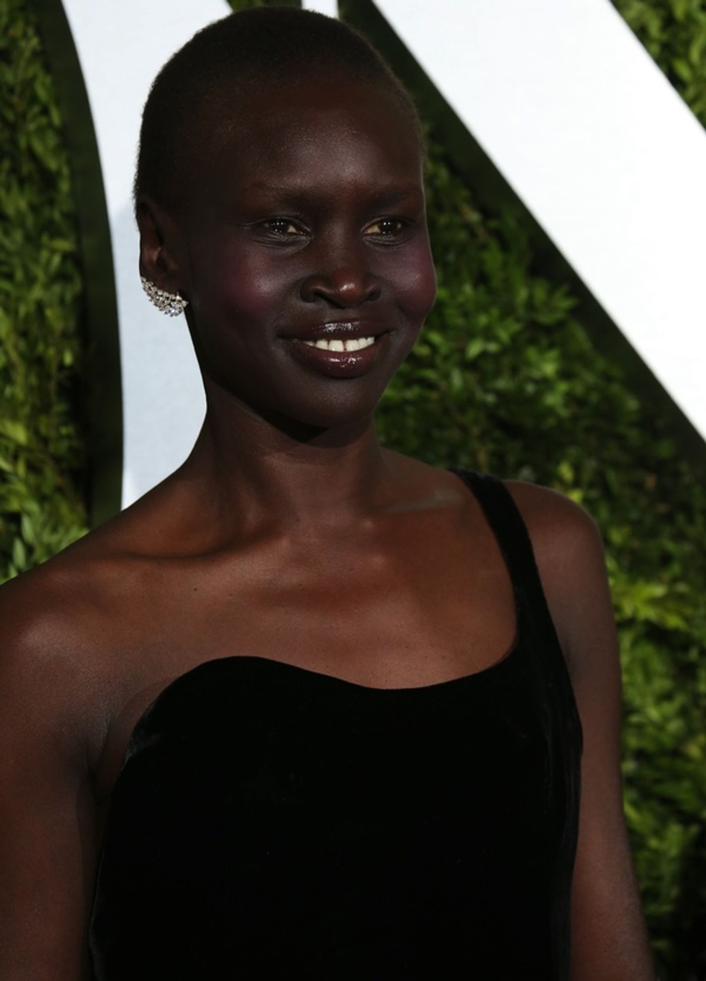 Photo Coverage: 2017 Tony Award Red Carpet Arrivals- Part 5  Image