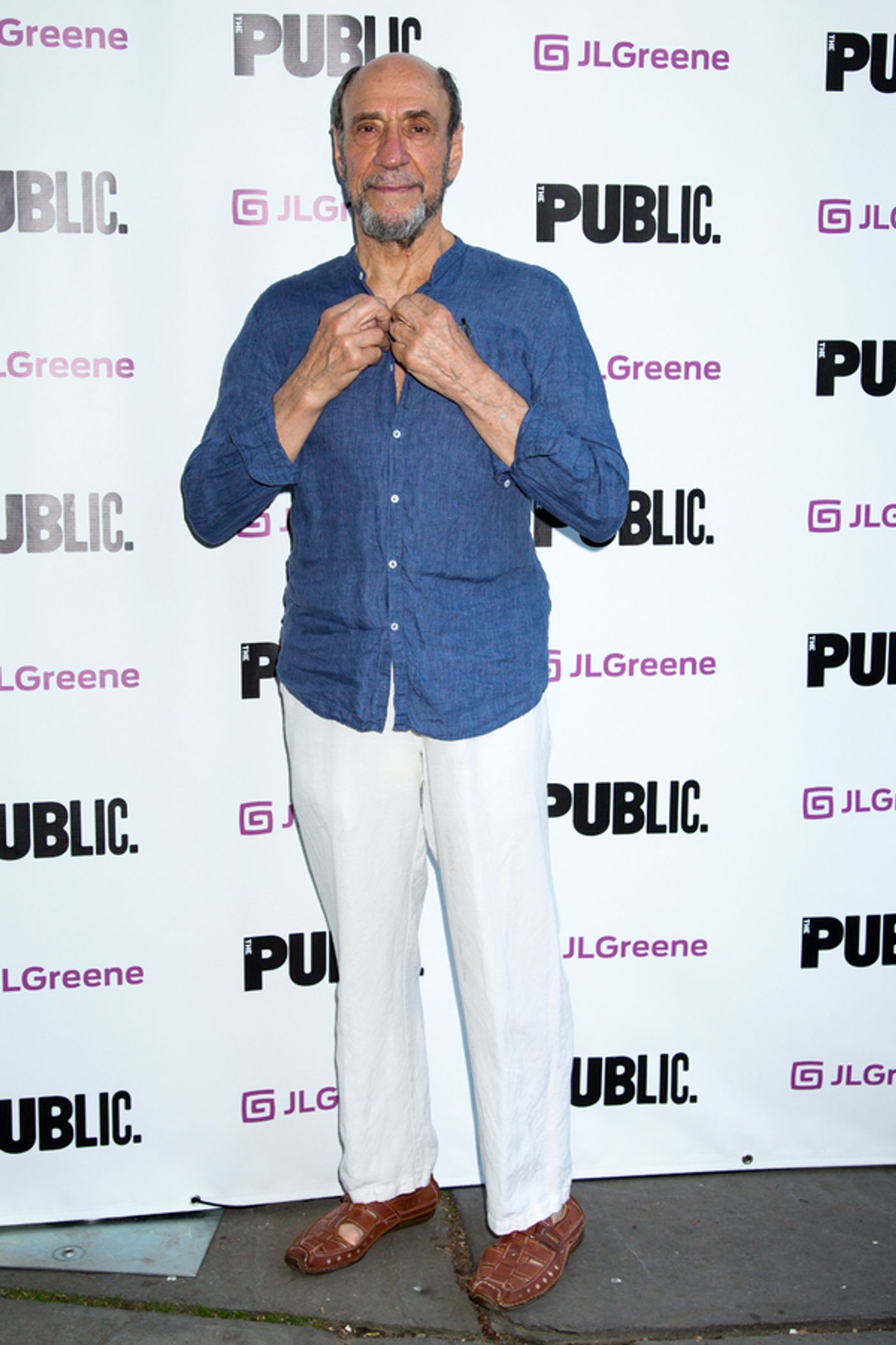 Photo Coverage: On the Opening Night Red Carpet for JULIUS CAESAR in the Park!  Image