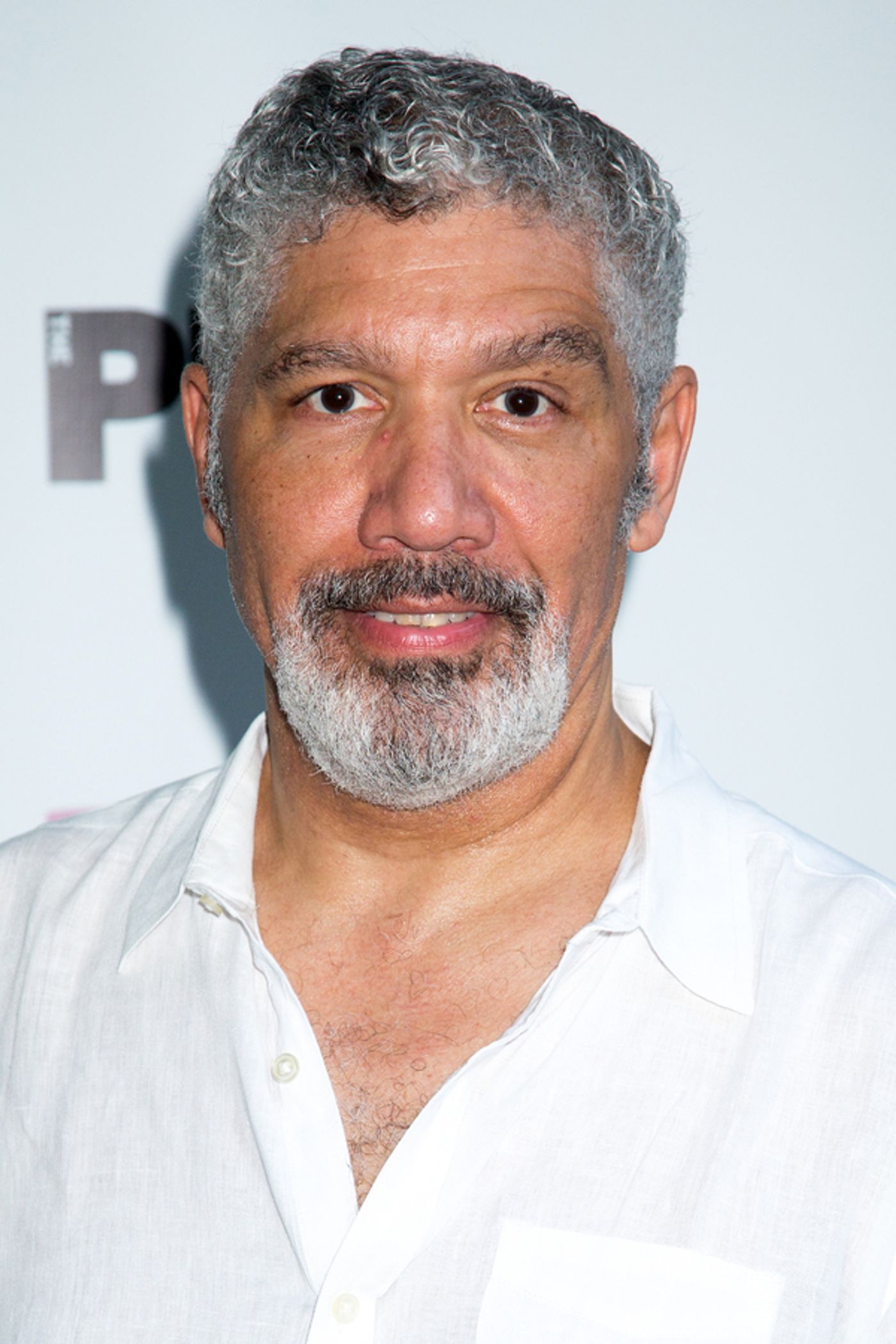 Photo Coverage: On the Opening Night Red Carpet for JULIUS CAESAR in the Park!  Image