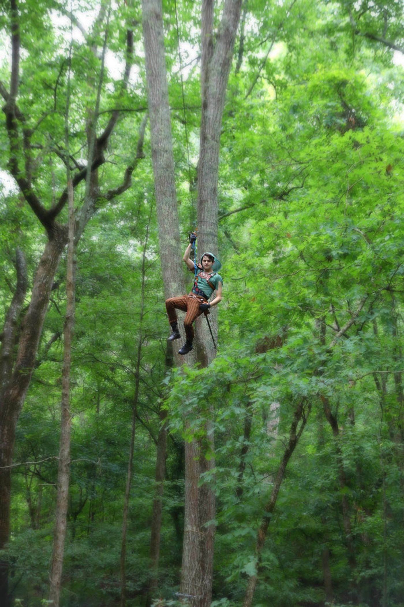 Photo Flash: Zip Into the Forest with Serenbe's Immersive ROBIN HOOD Photo Flash: Zip Into the Forest with Serenbe's Immersive ROBIN HOOD Image