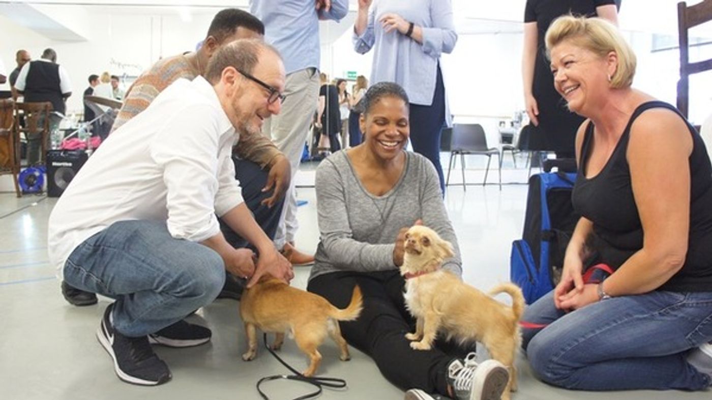 Photo Flash: Audra McDonald Auditions Pooches for 'LADY DAY' Companion in London  Image