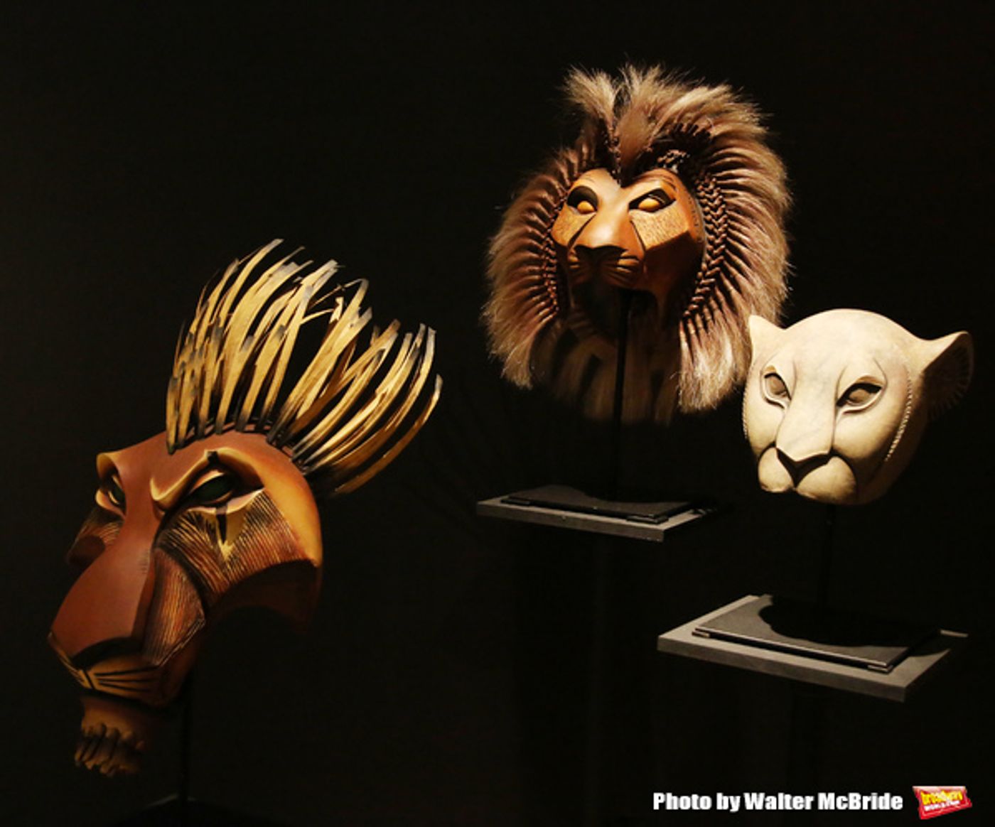 BWW Exclusive: A Visit to New York Public Library for the Performing Arts' CURTAIN UP Exhibit  Image
